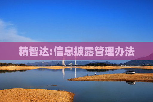 精智达:信息披露管理办法