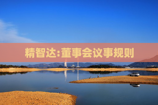 精智达:董事会议事规则  第1张