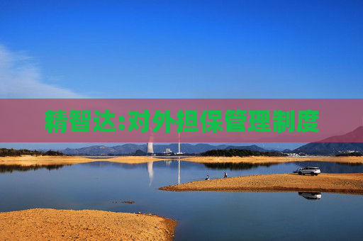 精智达:对外担保管理制度
