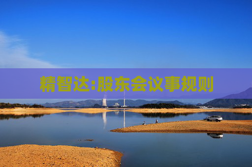 精智达:股东会议事规则