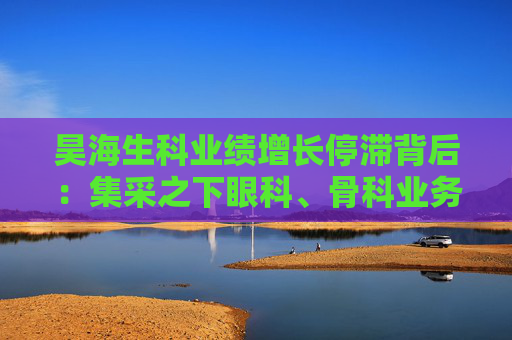 昊海生科业绩增长停滞背后：集采之下眼科、骨科业务熄火 玻尿酸业务增速显著放缓