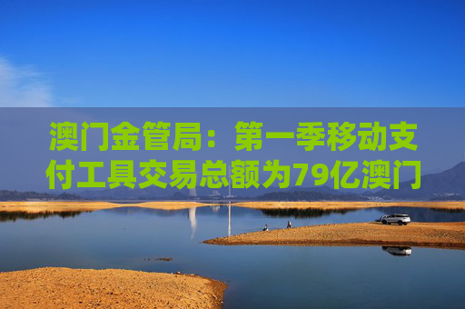 澳门金管局：第一季移动支付工具交易总额为79亿澳门元 同比上升8.7%