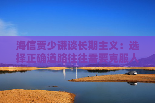 海信贾少谦谈长期主义：选择正确道路往往需要克服人性弱点，承受短期阵痛