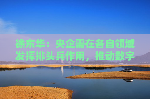 徐东华：央企需在各自领域发挥排头兵作用，推动数字化转型