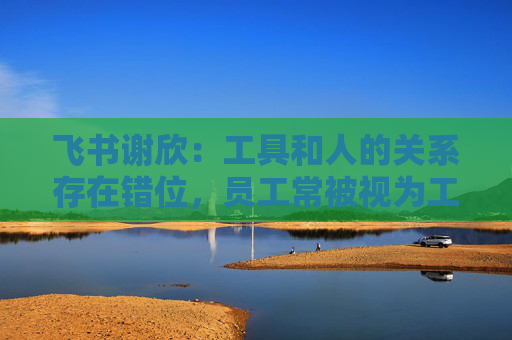 飞书谢欣：工具和人的关系存在错位，员工常被视为工具的附属