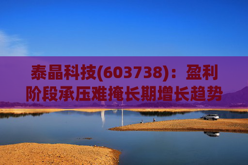 泰晶科技(603738)：盈利阶段承压难掩长期增长趋势 加码车规高附加值产品序列