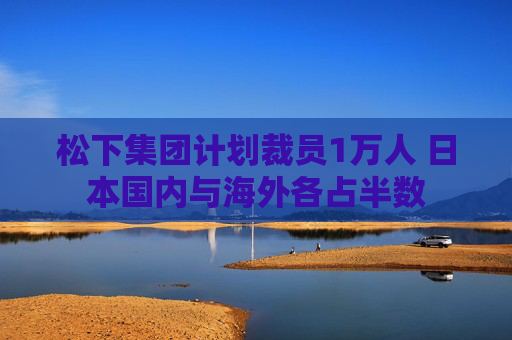 松下集团计划裁员1万人 日本国内与海外各占半数