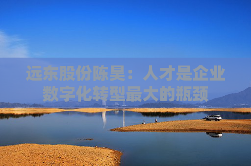远东股份陈昊：人才是企业数字化转型最大的瓶颈