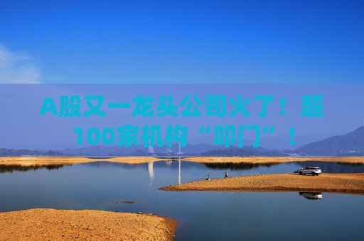 A股又一龙头公司火了！超100家机构“叩门”！