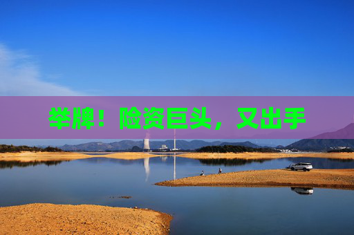 举牌！险资巨头，又出手
