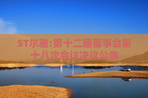ST尔雅:第十二届董事会第十八次会议决议公告
