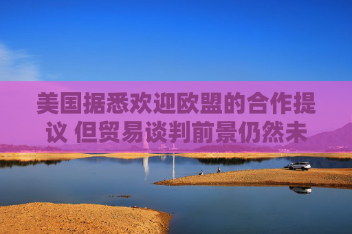 美国据悉欢迎欧盟的合作提议 但贸易谈判前景仍然未明