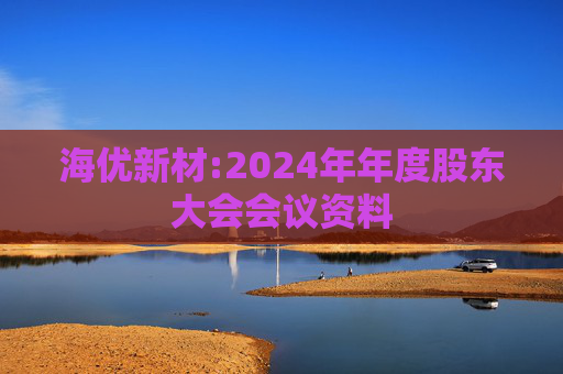 海优新材:2024年年度股东大会会议资料