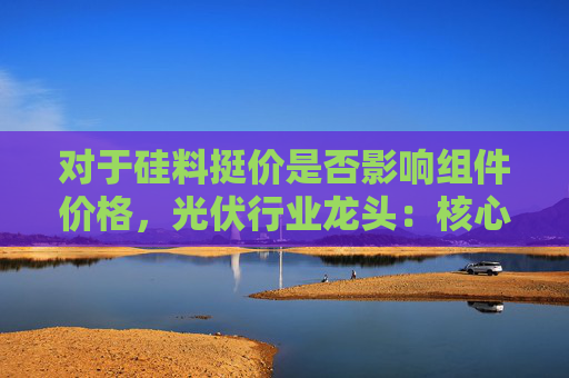 对于硅料挺价是否影响组件价格，光伏行业龙头：核心问题是供需错配+终端增量不及预期