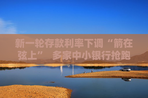 新一轮存款利率下调“箭在弦上”  多家中小银行抢跑压降负债成本