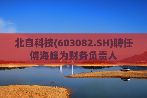 北自科技(603082.SH)聘任傅海峰为财务负责人