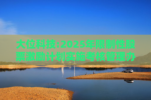 大位科技:2025年限制性股票激励计划实施考核管理办法