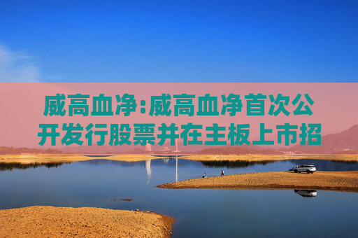 威高血净:威高血净首次公开发行股票并在主板上市招股说明书提示性公告