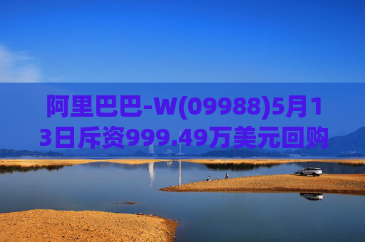 阿里巴巴-W(09988)5月13日斥资999.49万美元回购60.48万股