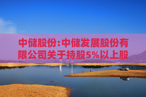 中储股份:中储发展股份有限公司关于持股5%以上股东权益变动触及1%整数倍的提示性公告