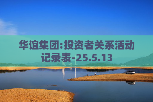 华谊集团:投资者关系活动记录表-25.5.13