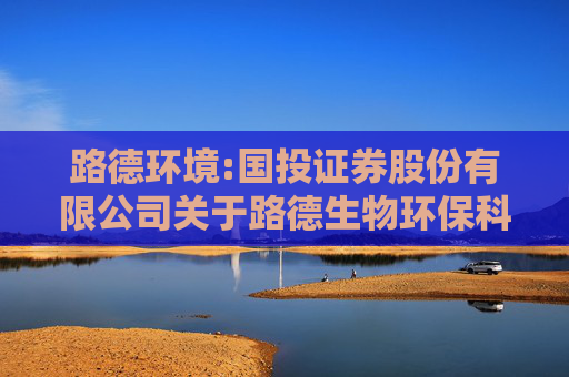 路德环境:国投证券股份有限公司关于路德生物环保科技股份有限公司2024年年度持续督导跟踪报告
