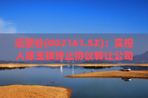 远望谷(002161.SZ)：实控人徐玉锁终止协议转让公司部分股份