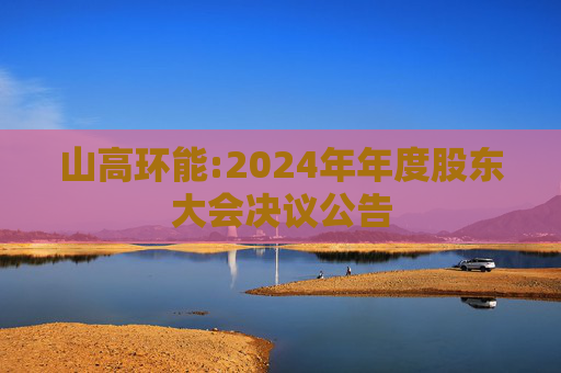 山高环能:2024年年度股东大会决议公告