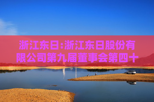 浙江东日:浙江东日股份有限公司第九届董事会第四十次会议决议公告
