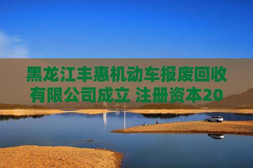 黑龙江丰惠机动车报废回收有限公司成立 注册资本200万人民币