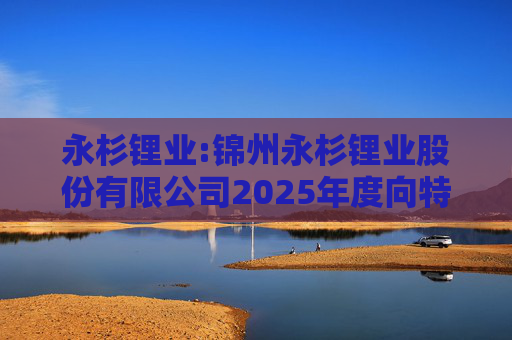 永杉锂业:锦州永杉锂业股份有限公司2025年度向特定对象发行A股股票方案论证分析报告
