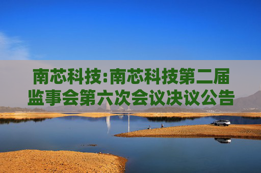 南芯科技:南芯科技第二届监事会第六次会议决议公告