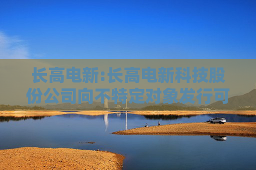 长高电新:长高电新科技股份公司向不特定对象发行可转换公司债券发行方案的论证分析报告（二次修订稿）  第1张