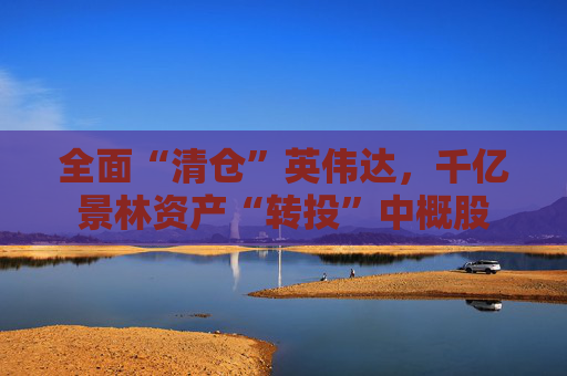 全面“清仓”英伟达，千亿景林资产“转投”中概股