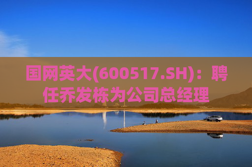 国网英大(600517.SH)：聘任乔发栋为公司总经理