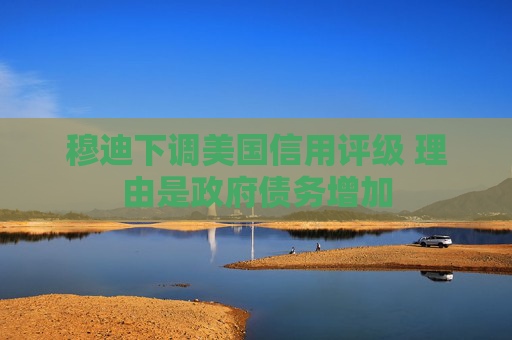 穆迪下调美国信用评级 理由是政府债务增加