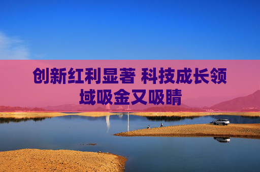 创新红利显著 科技成长领域吸金又吸睛