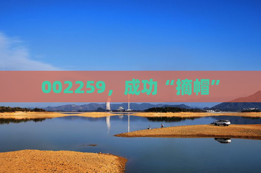 002259，成功“摘帽”