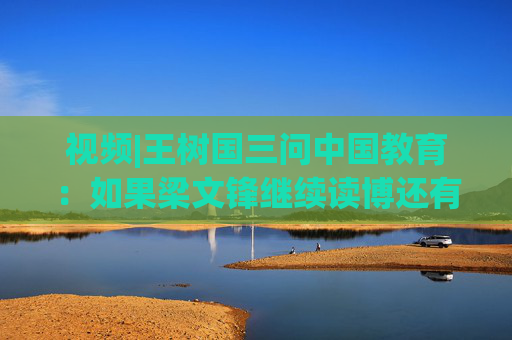 视频|王树国三问中国教育：如果梁文锋继续读博还有DeepSeek吗？  第1张