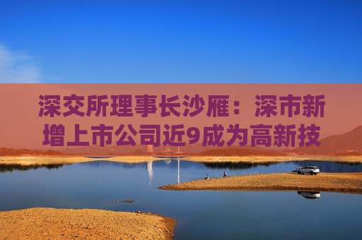 深交所理事长沙雁：深市新增上市公司近9成为高新技术企业，近6成属于战略新兴产业