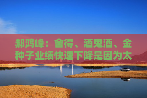 郝鸿峰：舍得、酒鬼酒、金种子业绩快速下降是因为太善良、太诚实