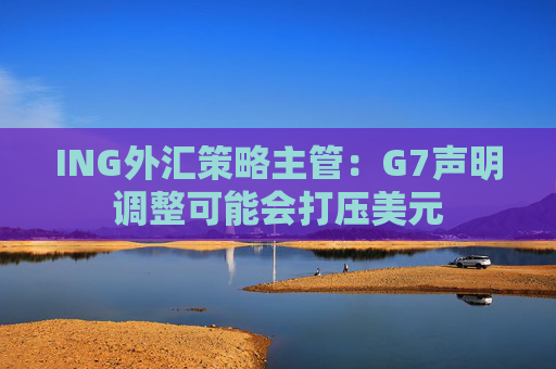 ING外汇策略主管：G7声明调整可能会打压美元