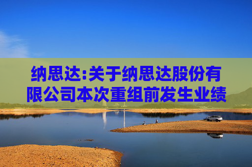 纳思达:关于纳思达股份有限公司本次重组前发生业绩异常或本次重组存在拟置出资产情形相关事项之专项核查意见