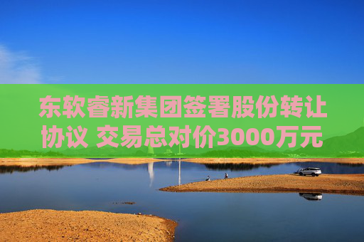 东软睿新集团签署股份转让协议 交易总对价3000万元