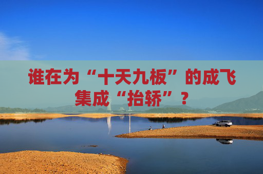 谁在为“十天九板”的成飞集成“抬轿”？