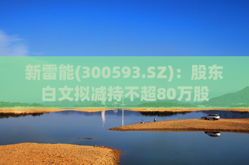 新雷能(300593.SZ)：股东白文拟减持不超80万股