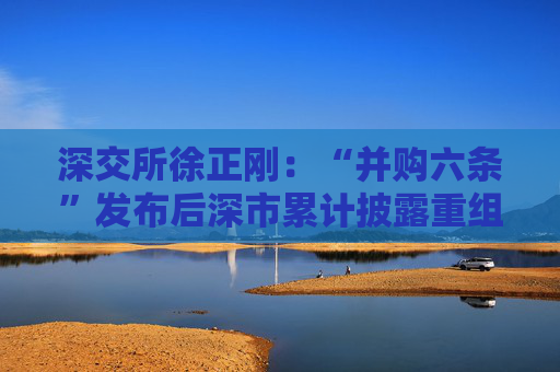 深交所徐正刚：“并购六条”发布后深市累计披露重组项目近800单，重大资产重组超90单同比增200%