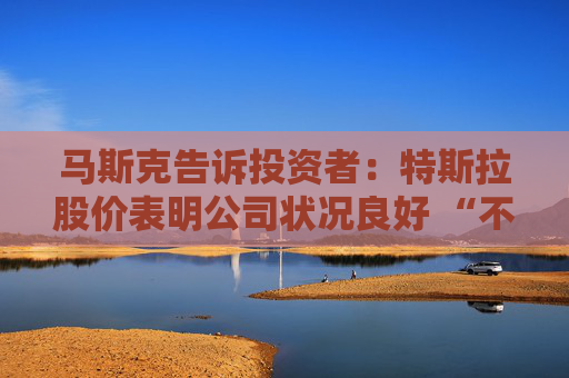 马斯克告诉投资者：特斯拉股价表明公司状况良好 “不必担忧”