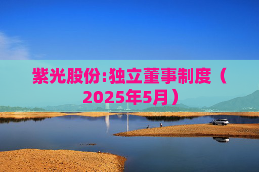 紫光股份:独立董事制度（2025年5月）