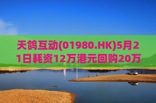 天鸽互动(01980.HK)5月21日耗资12万港元回购20万股